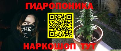мяу мяу мука Апшеронск